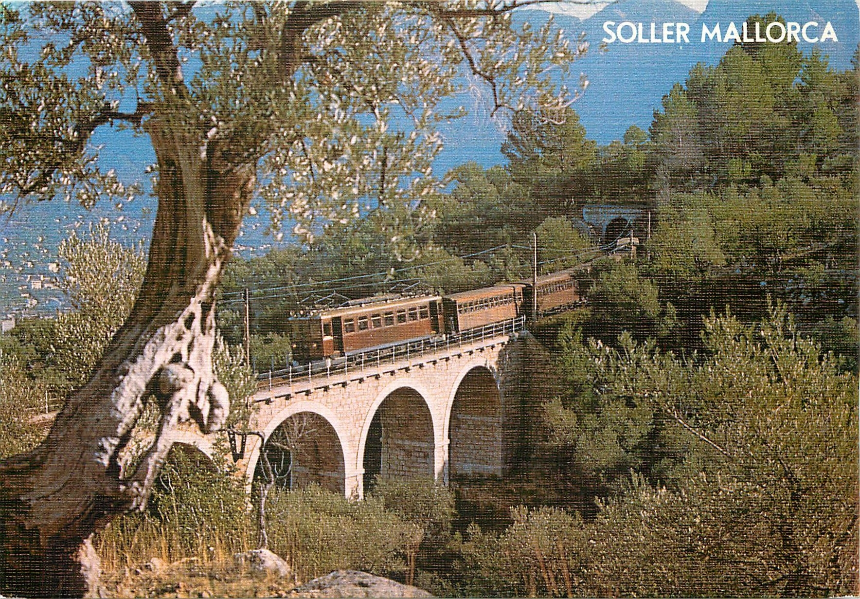CPM TREN PALMA - SOLLER MALLORCA