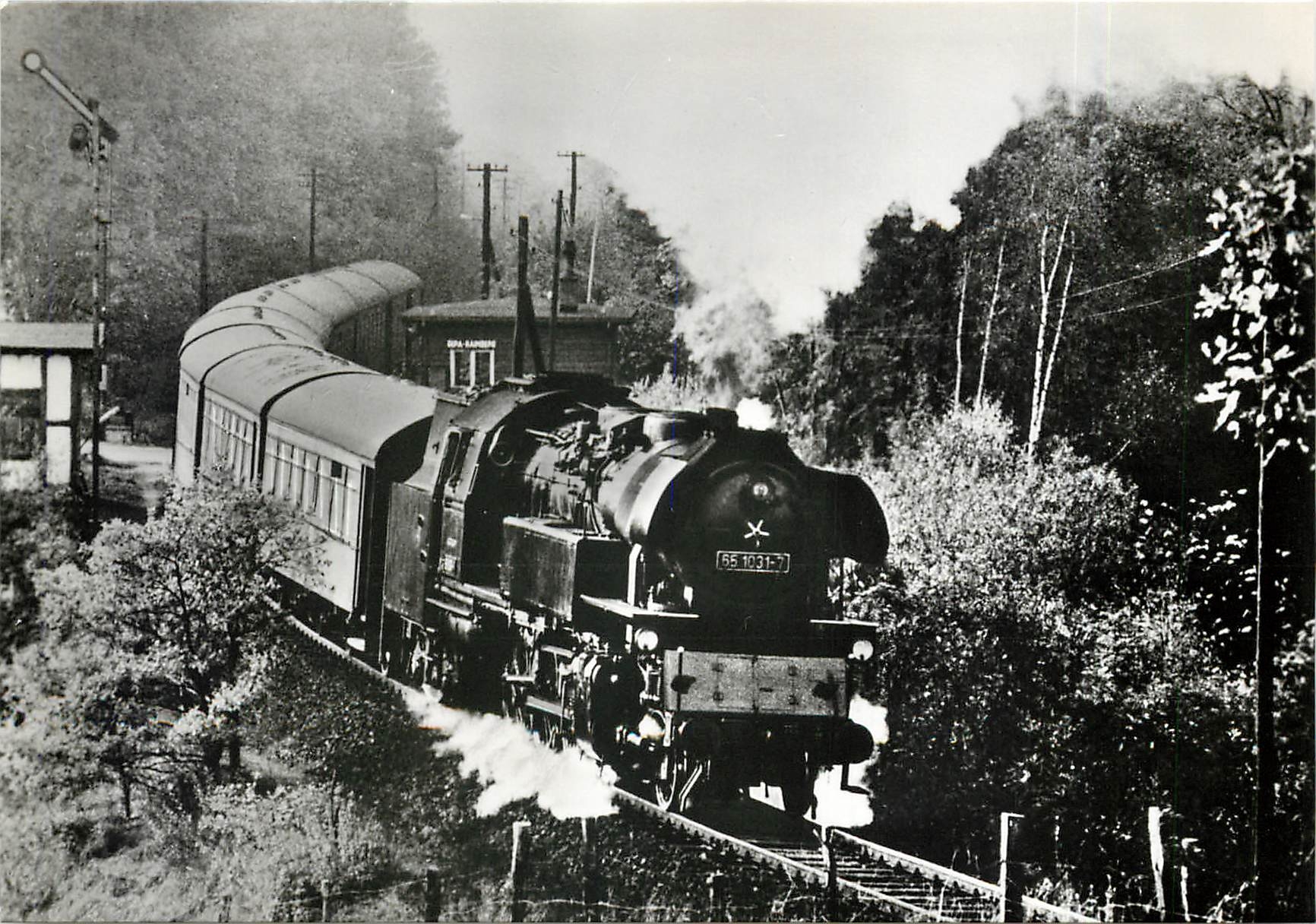 CPM Dampflokomotiven im Einsatz