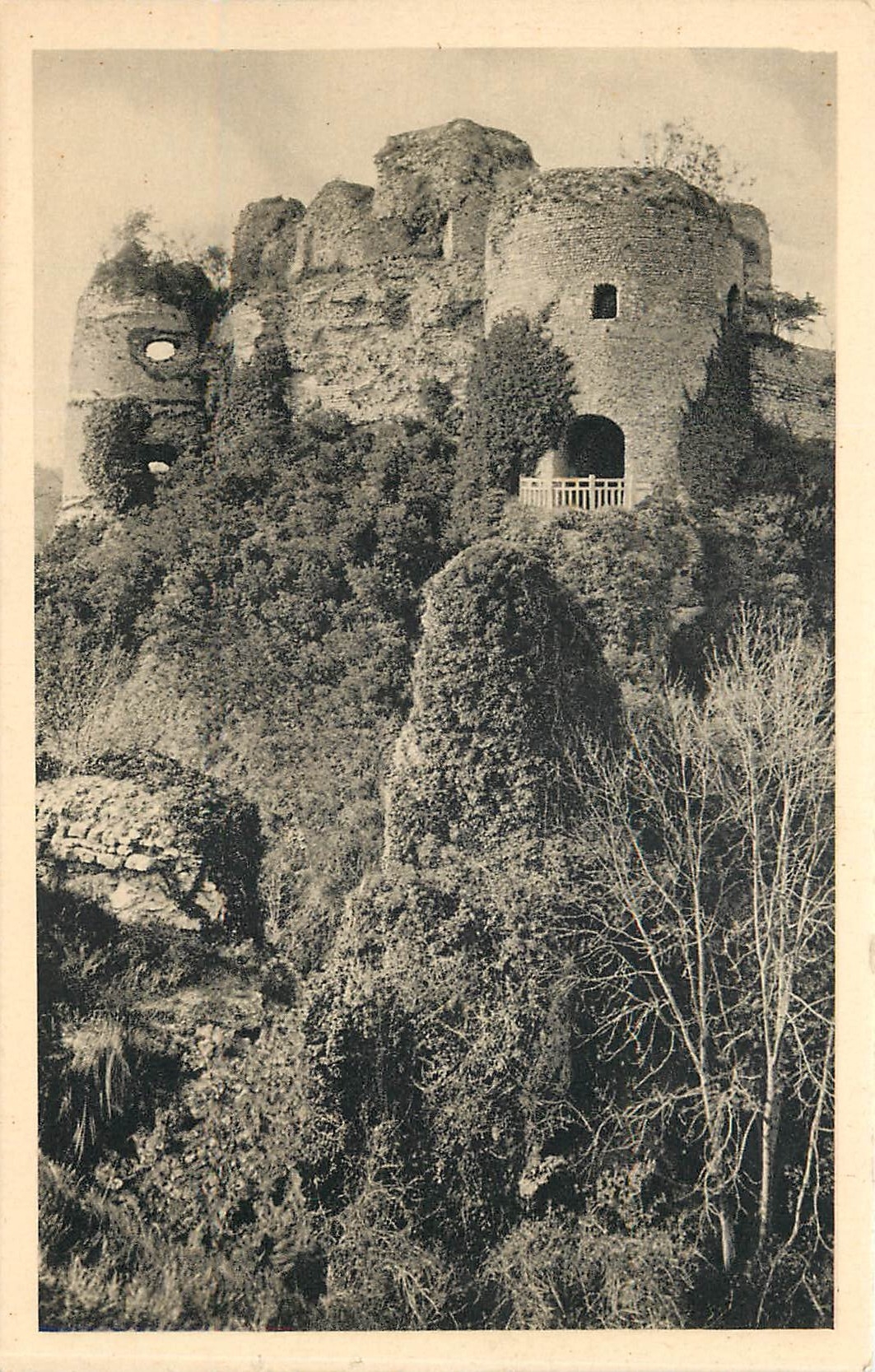 CPA Chateau d'Arques la Bataille SI Tour d'Angle