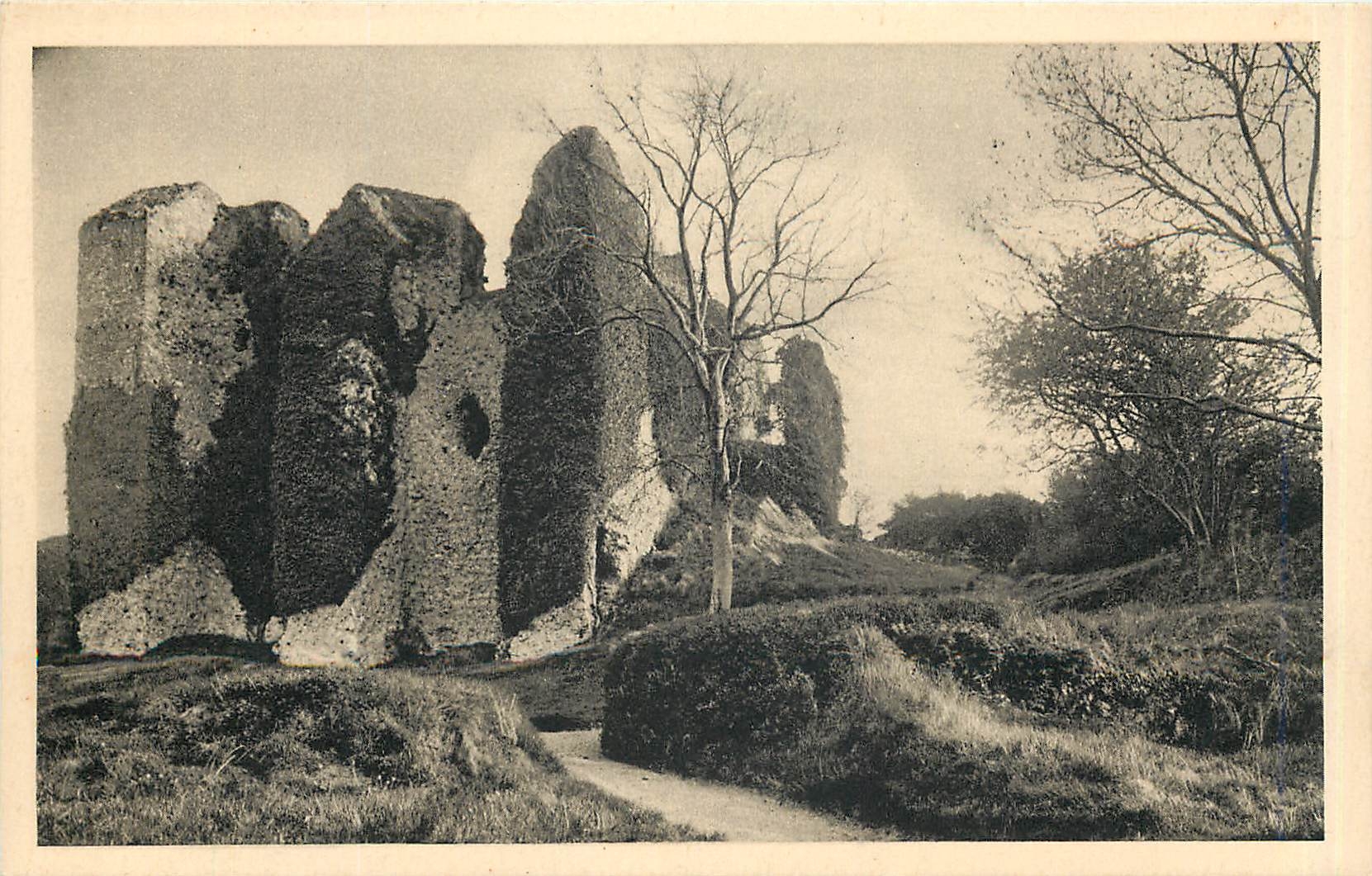 CPA Chateau d'Arques la Bataille SI Le Donjon