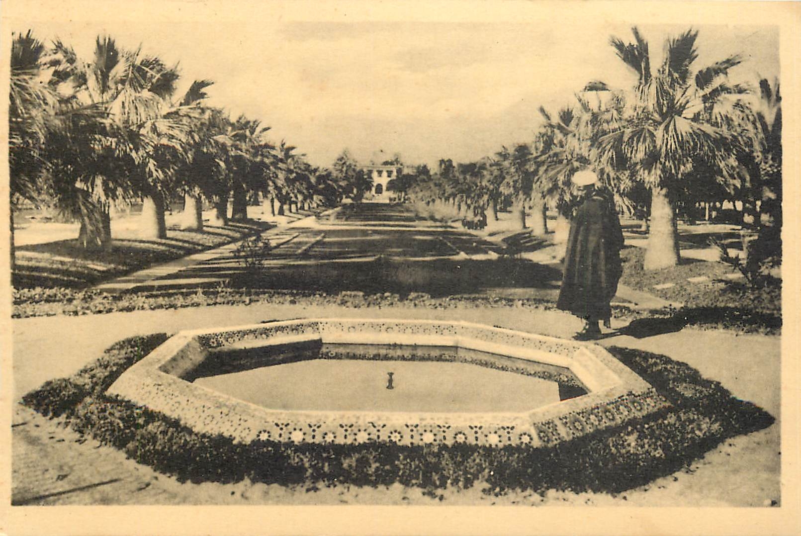 CPA Casablanca Parc Lyautey Une Allee