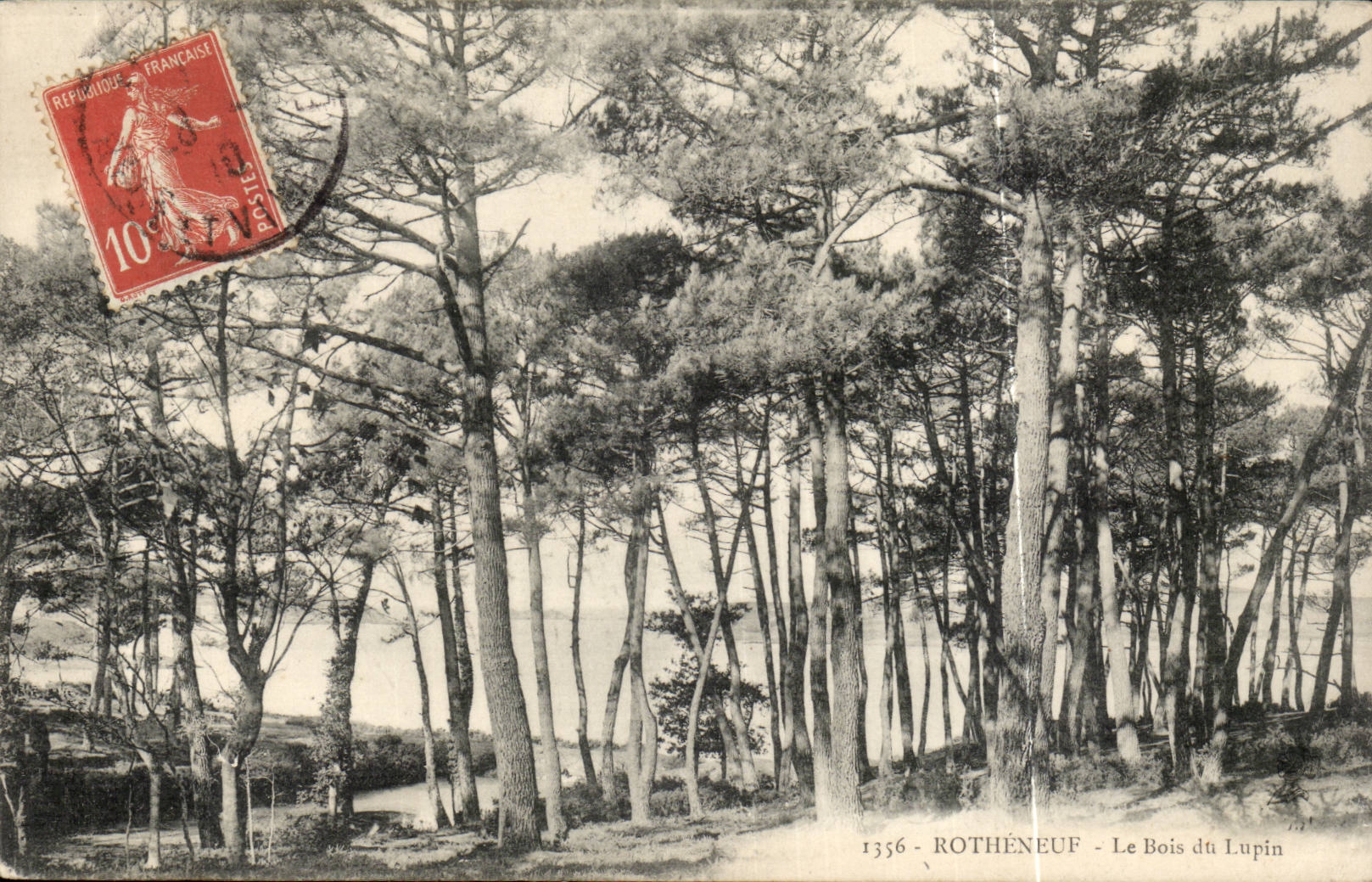 rotheneuf - the Wood of Rabbit - CPA