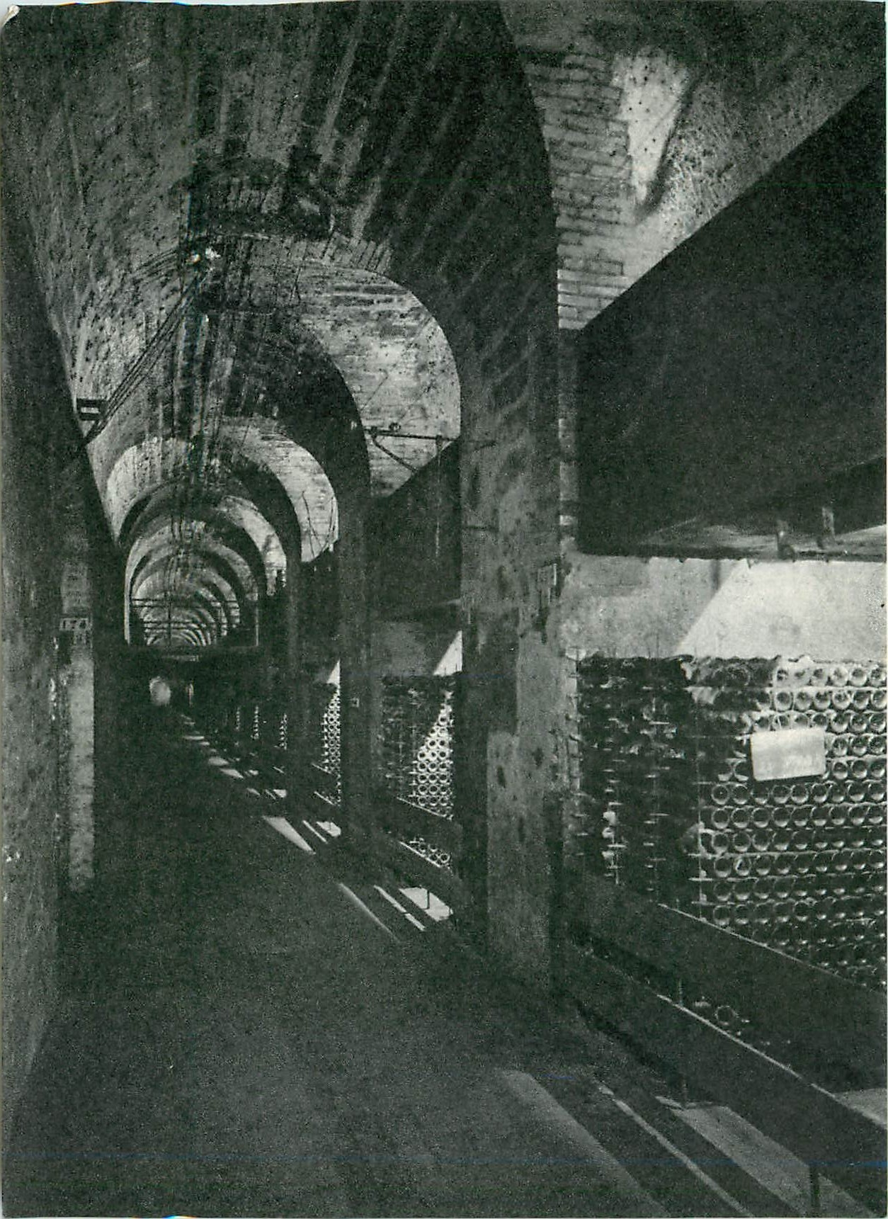 CPA Epernay Vins sur lattes 