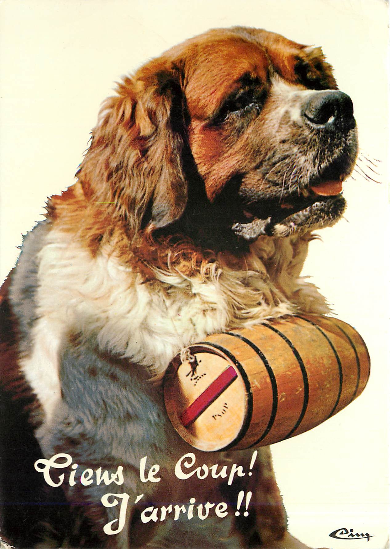 CPM Animaux Humoristiques Le Chien St Bernard 