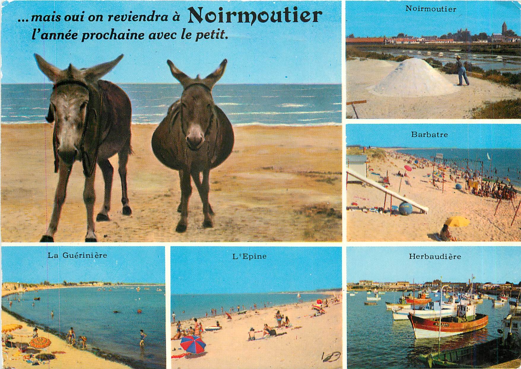 CPM Ile de Noirmoutier Vues des pays de l'lle Ane Mule Barbatre La Gueriniere L'Epine Herbaudiere