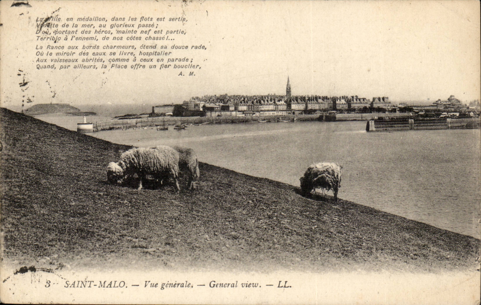 Saint Malo CPA View (sheep) General view