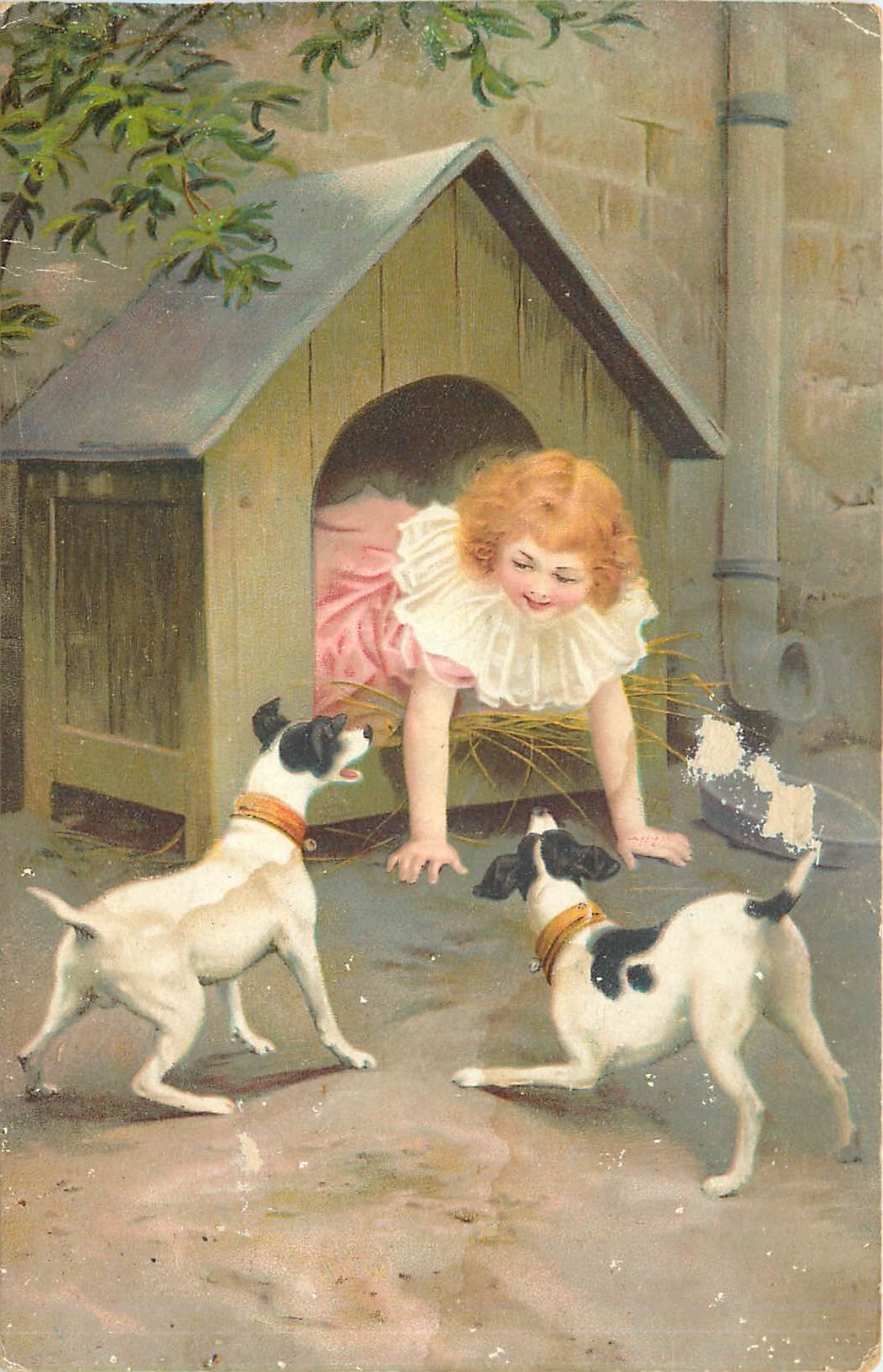 CPA Enfant Chiens