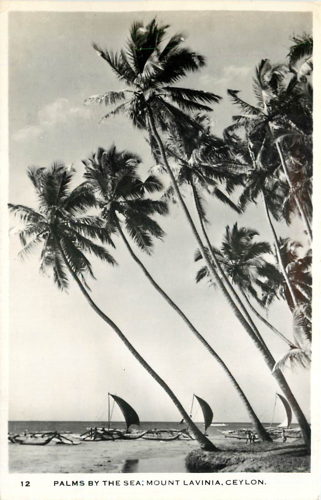 CPM Palms by the Sea Mount Lavinia Ceylon Bateaux