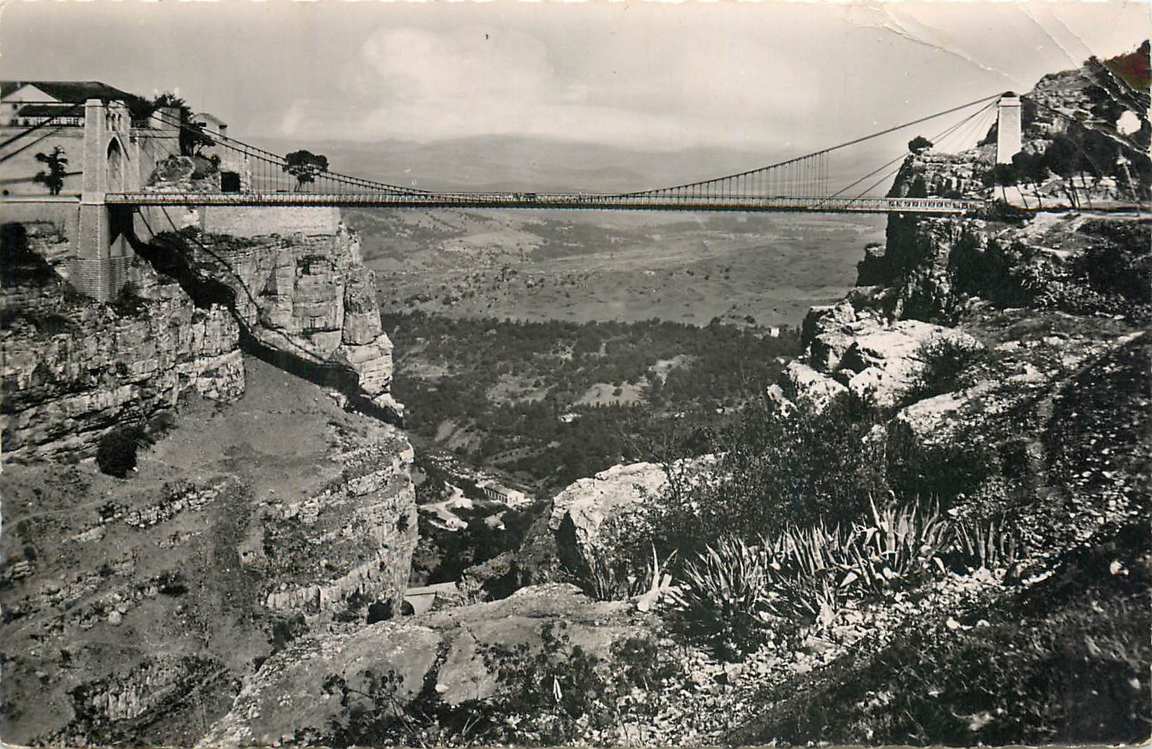 CPM Constantine - Pont Sidi M'Cid - Vue sur la Vallee du Rhumel