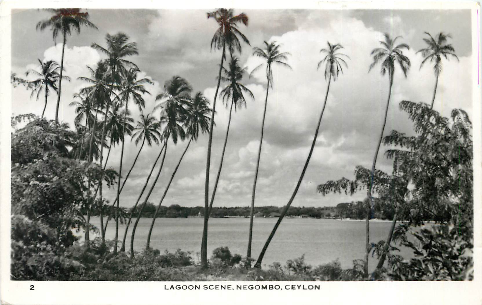 CPM Lagoon Scene Negombo Ceylon