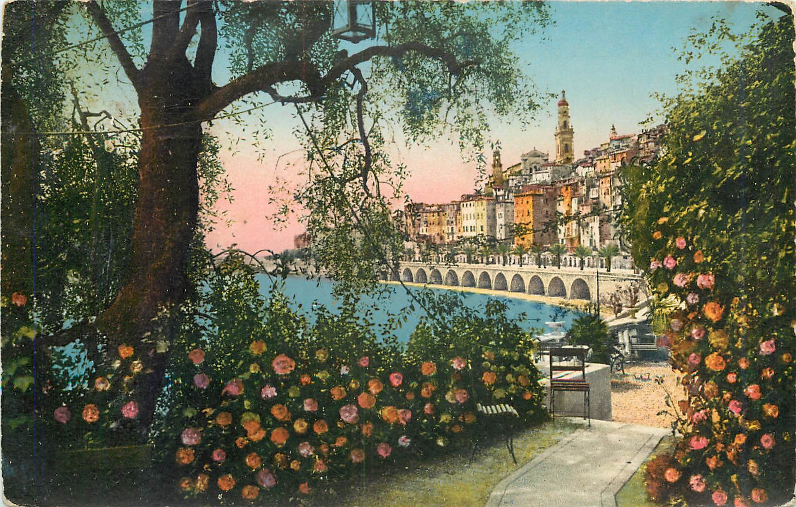 CPA Menton La Vieille Ville a travers les oliviers