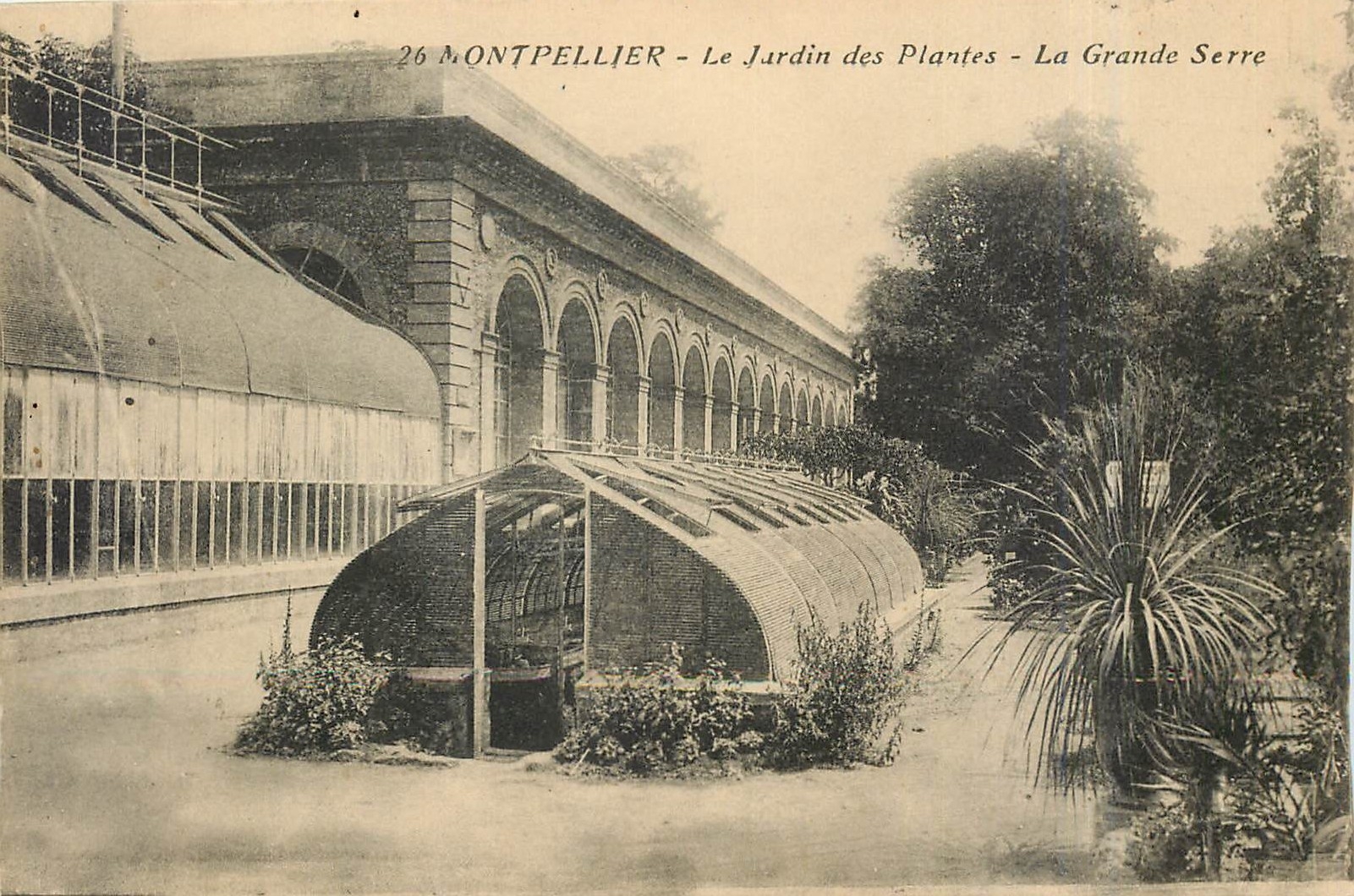CPA Montpellier Le Jardin des Plantea La Grande Serre 