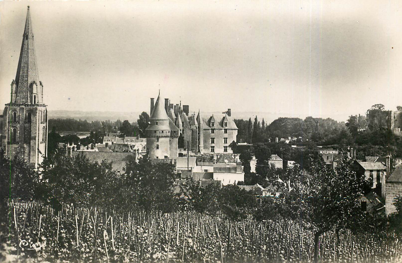 CPM Langeais L et L Vue generale sur le Chateau et l'Eglise 