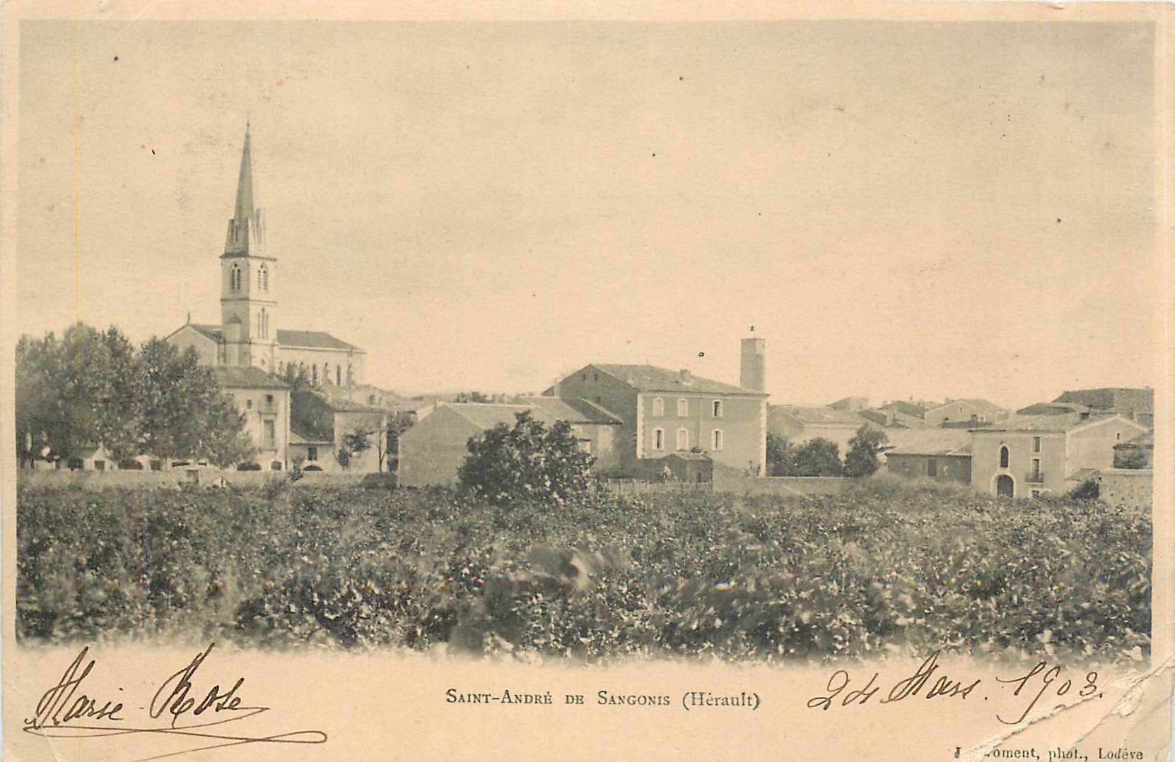 CPA Saint-André de Sangonis (Hérault)