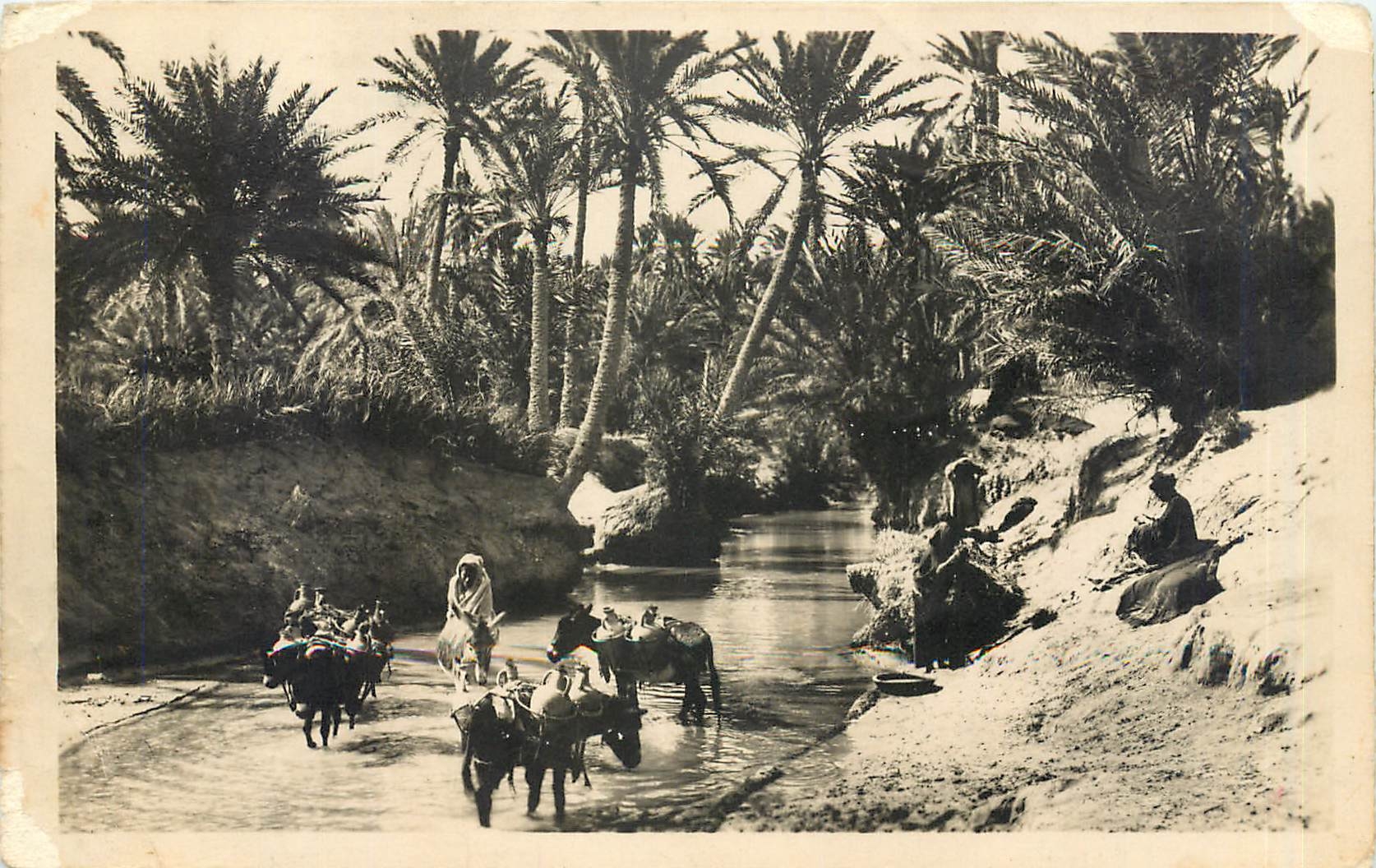 CPA Un Oued dans l'Oasis
