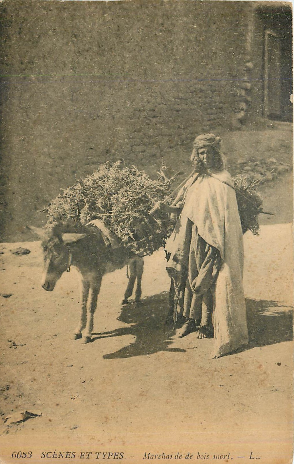 CPA SCENES ET TYPES-Marchande de bois mort Ane Mule