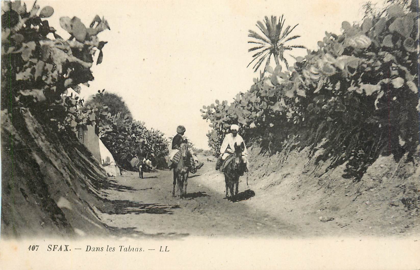 CPA SPAX-Dans les Talans-LL
