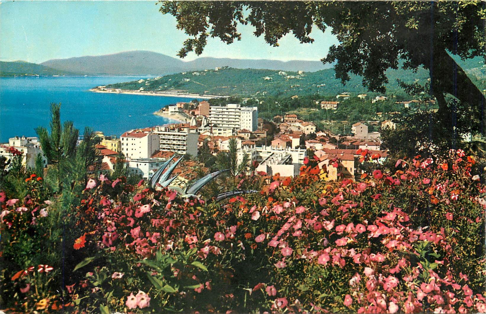 CPA SAINTE MAXIME SUR MER (Var)-vue generale