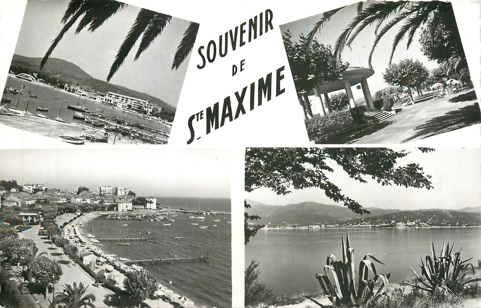 CPM Souvenir de Ste Maxime 