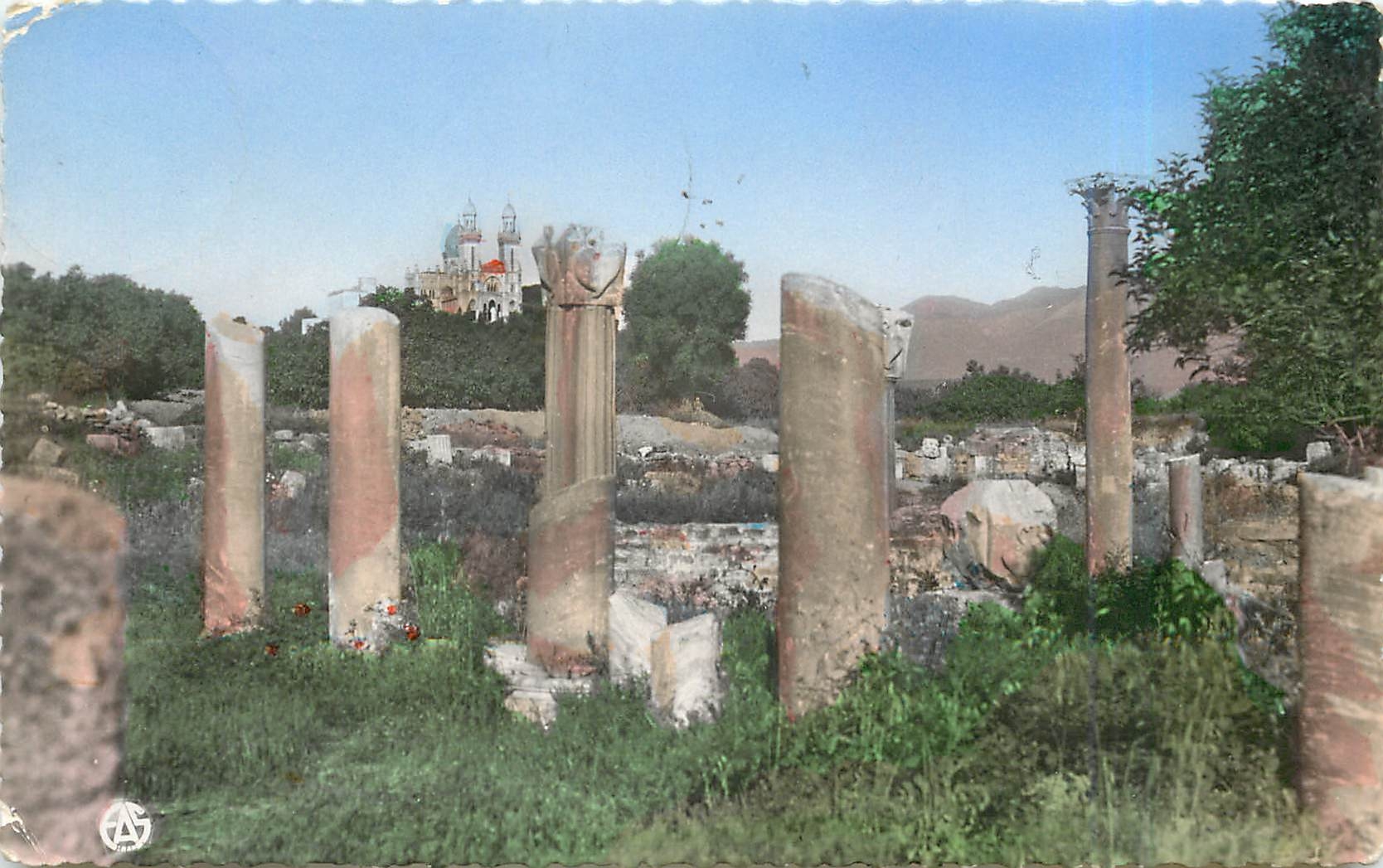 CPM Bone Les Ruines d'Hyppone et la Basilique