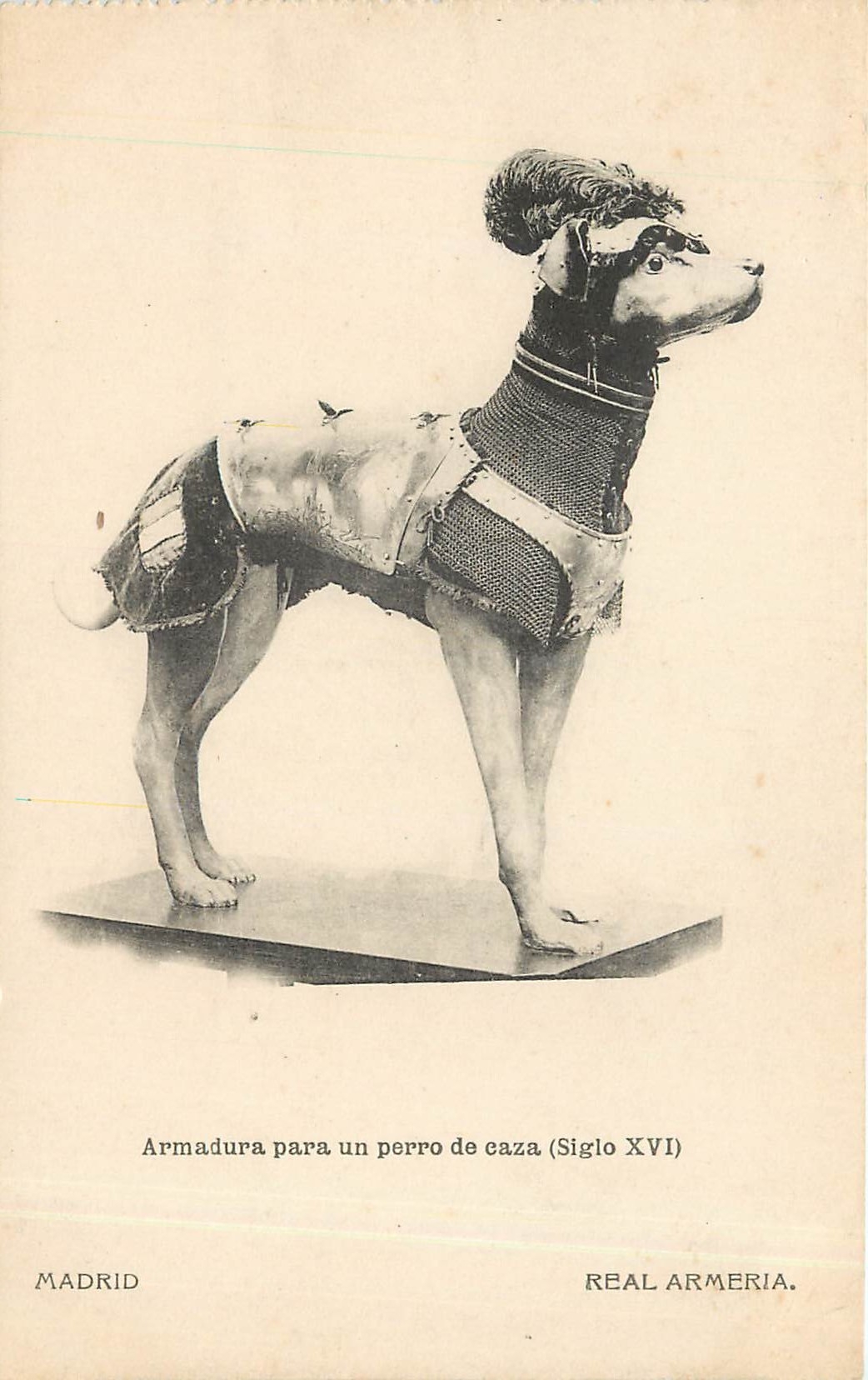 CPA MADRID Armadura para un perro de caza Chien Militaria