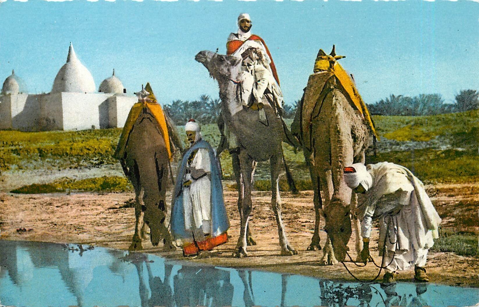 CPA SCENE ET TYPES. D'Afrique du Nord. La halte près du Marabout Chameaux