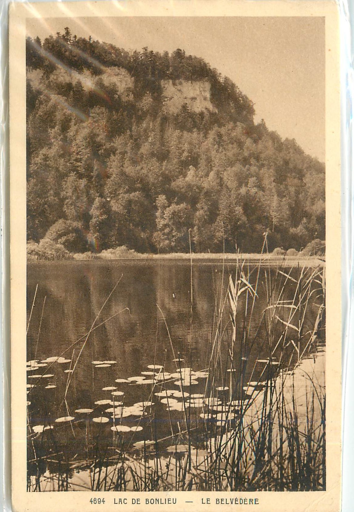 CPA Lac de Bonlieu le Belvedere 