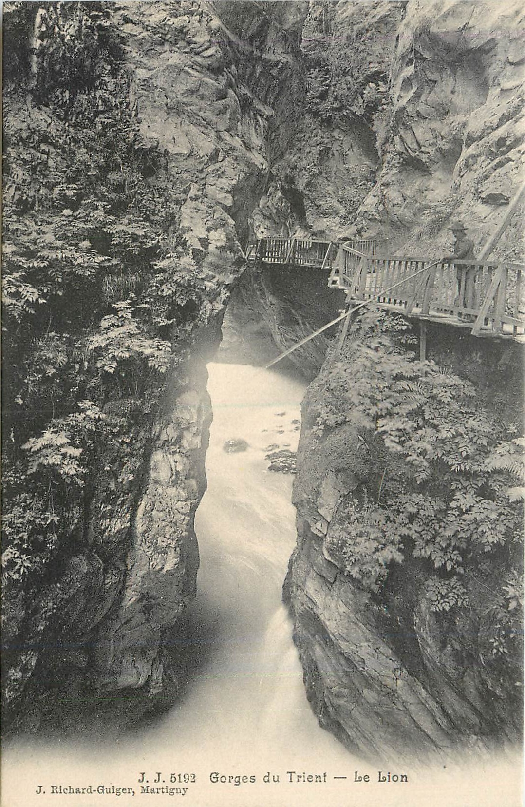CPA Gorges du Trient le lion 