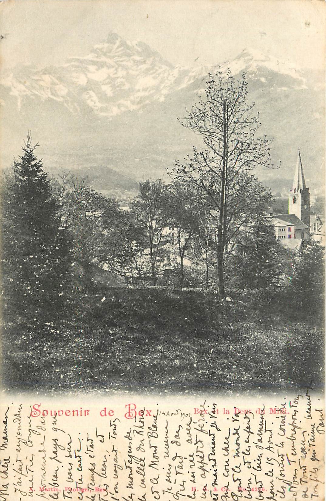 CPA Souvenir de Box et la dent du Midi