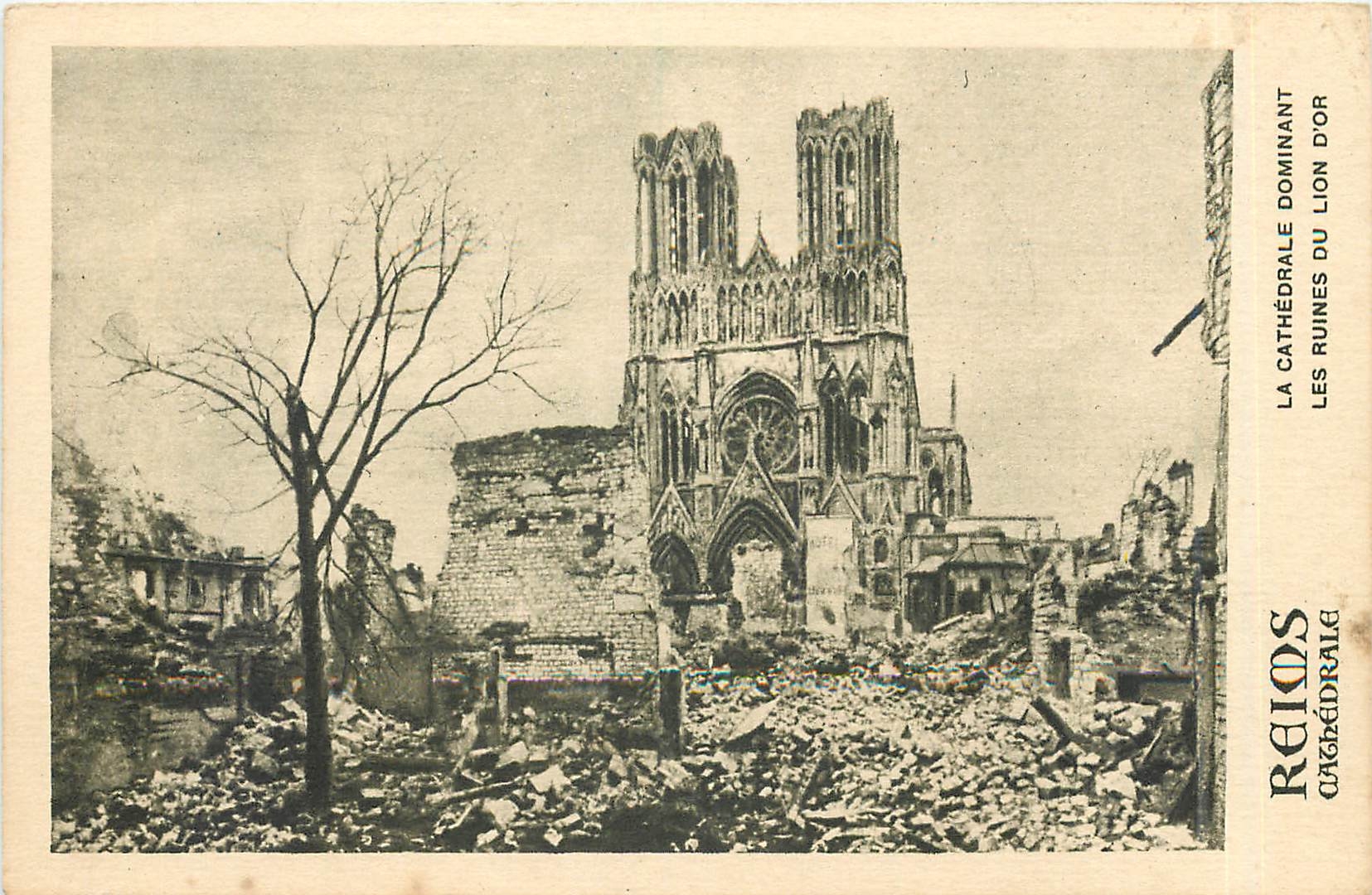 CPA Reims Cathedrale la ctahedrale dominant les ruines du lion d'Or 