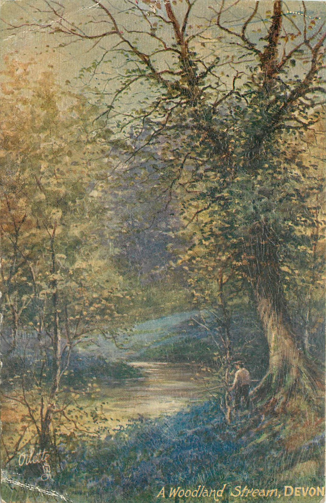 CPA A Woodland Stream Devon 