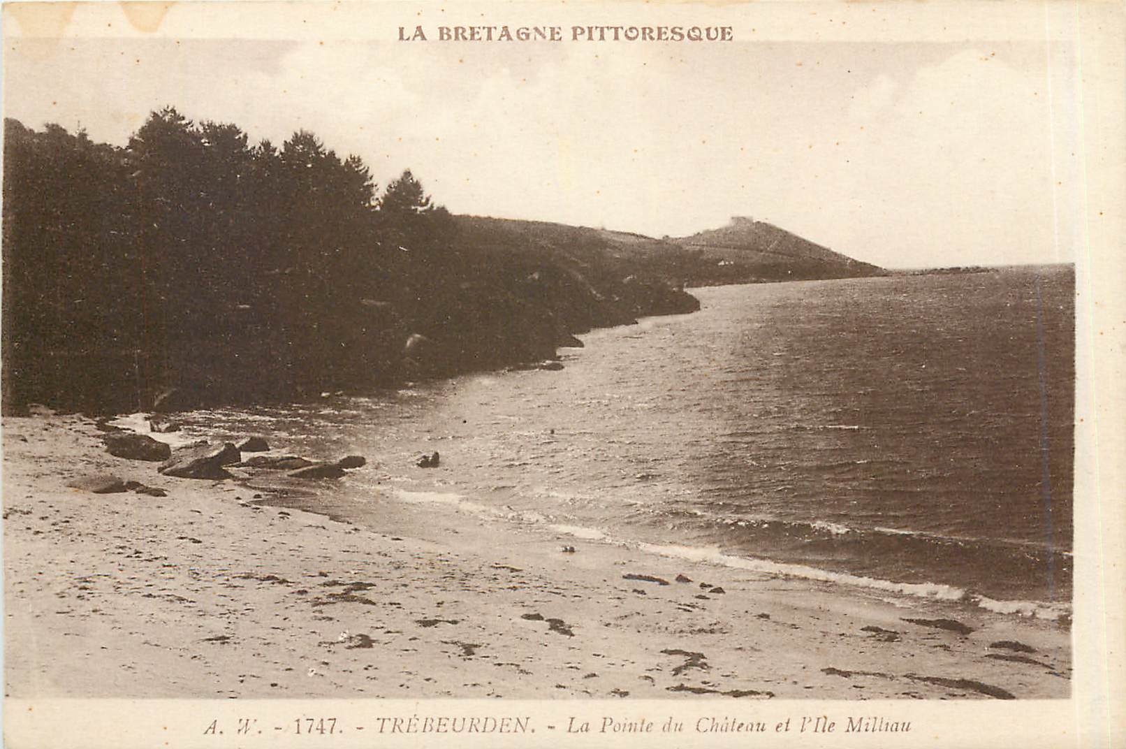 CPA Trebeurden La Pointe du Chateau et l'Ile Milliau