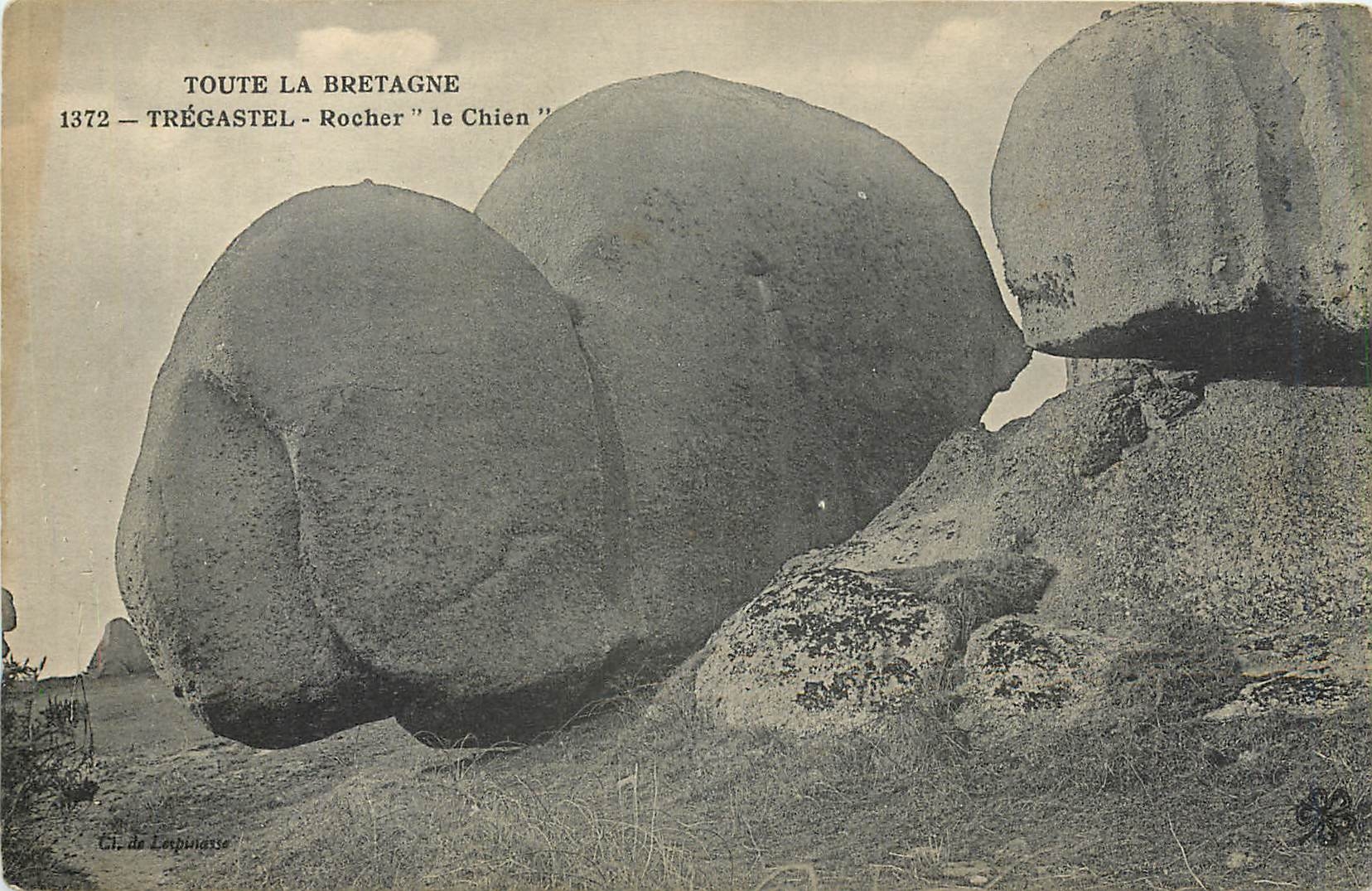CPA Tregastel Rocher le Chien 