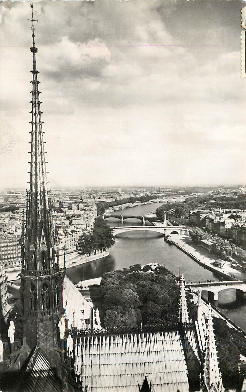CPM Paris vue panoramique prise de Notre Dame 