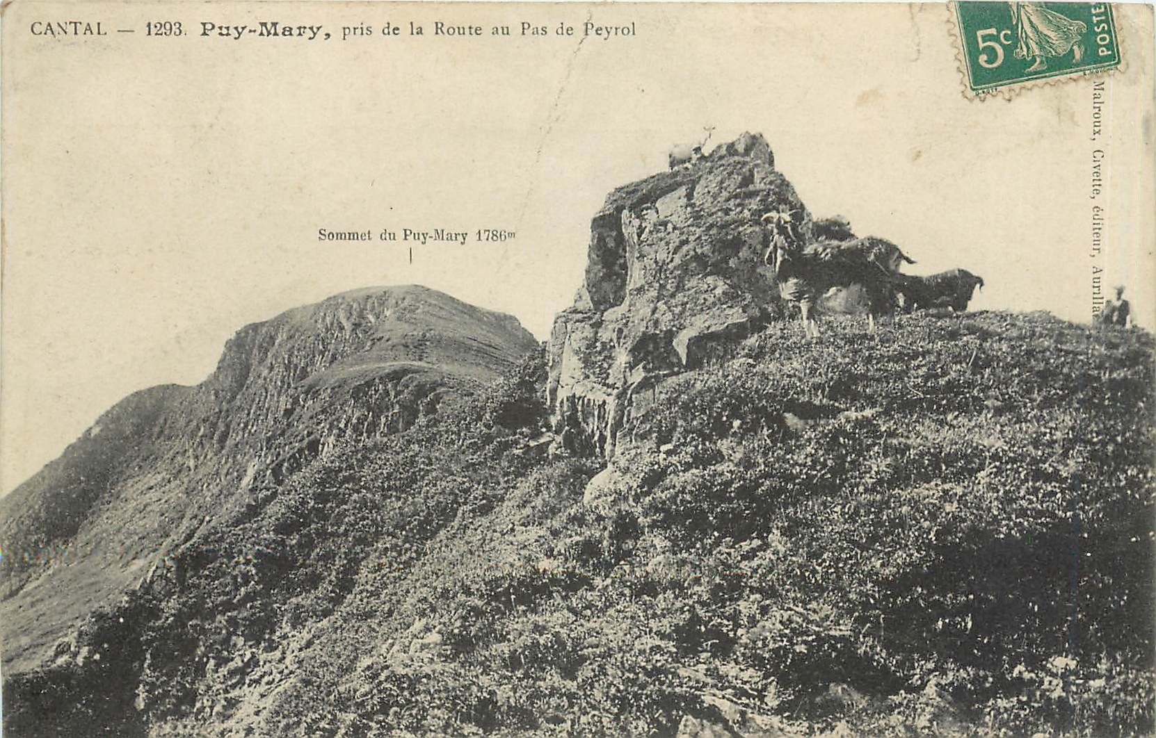 CPA Cantal Puy Mary pris de la Route au Pas de Payrol Chevre Bouc