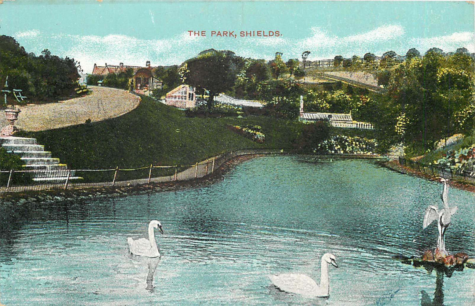 CPA The park Shields Cygnes