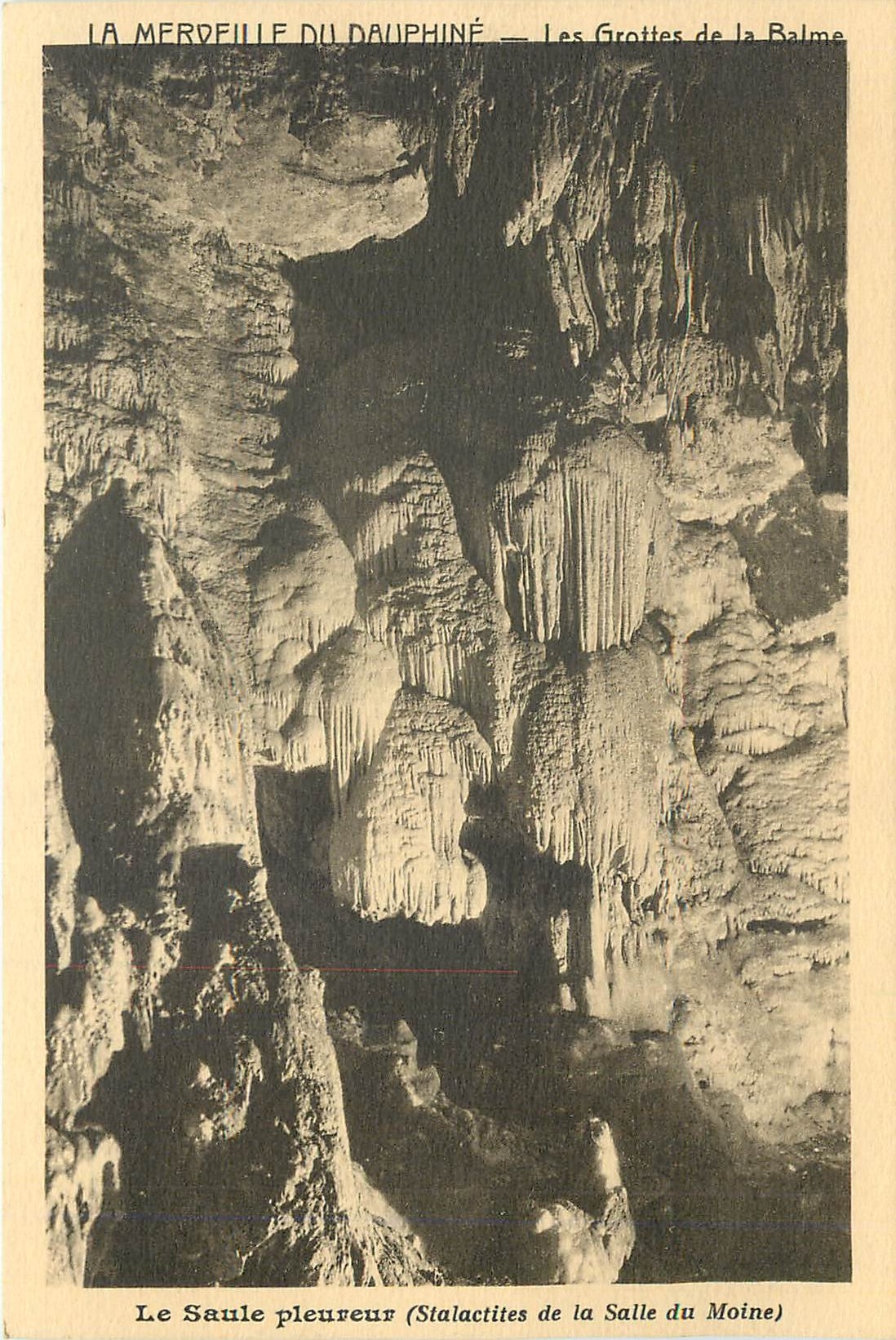 CPA La Merveille du Dauphine les grottes de la Balme le Saule pleureur stalactites de la salle du Mo