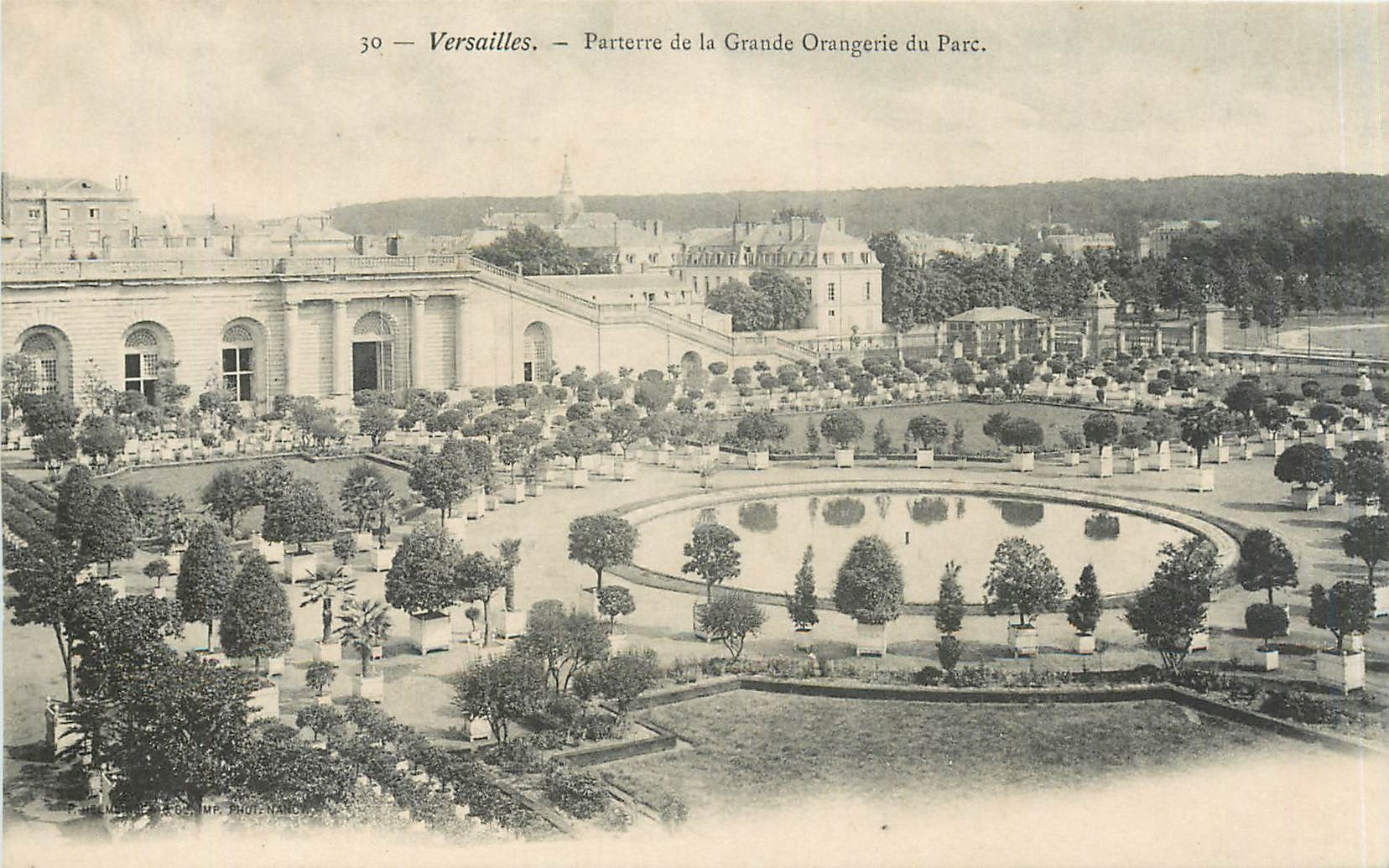 CPA Versailles parterre de la grande Orangerie du parc