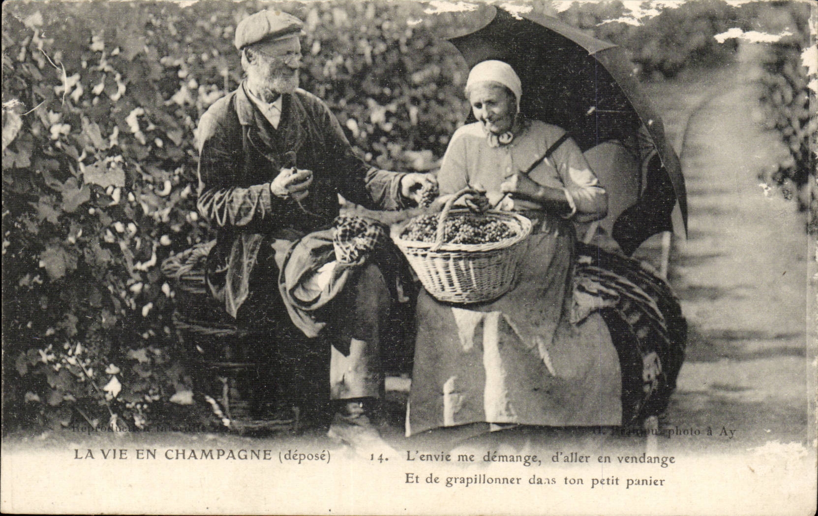 CPA Champagne life (folklore caps costume Vigne vineyard) TOP