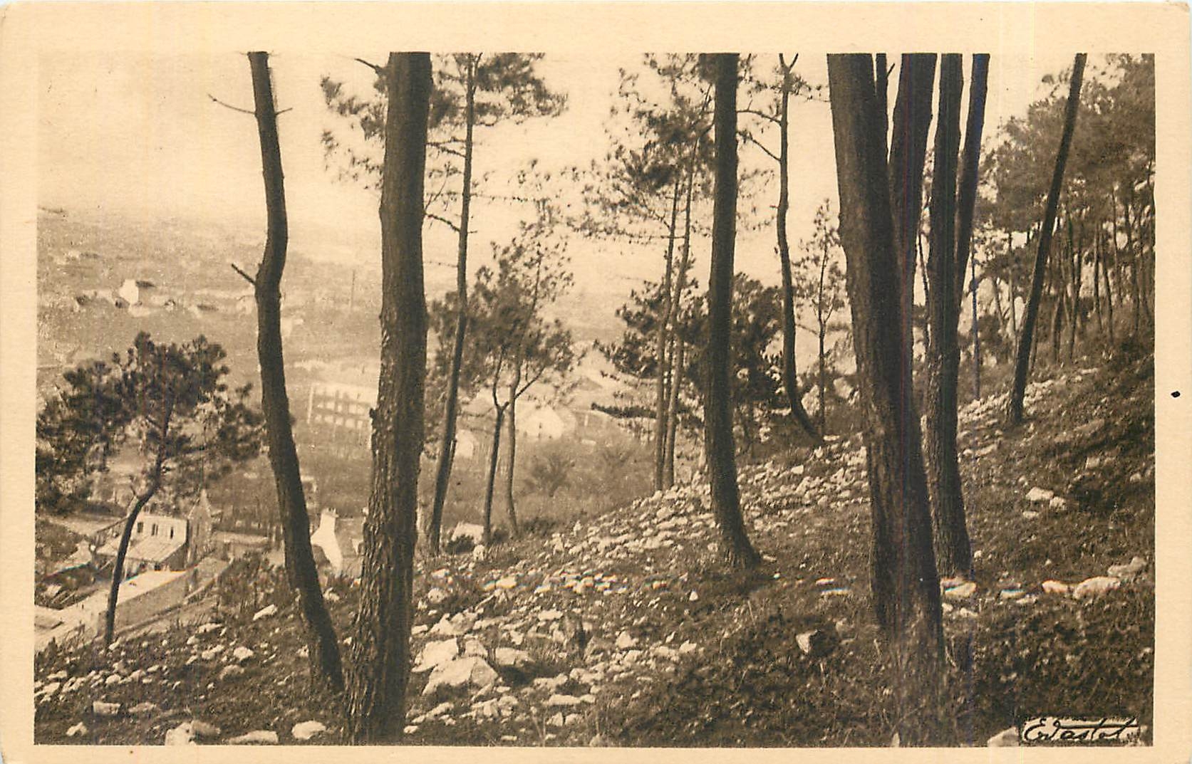 CPA La Normandie Artistique Montagne du Roule a travers les Pins 