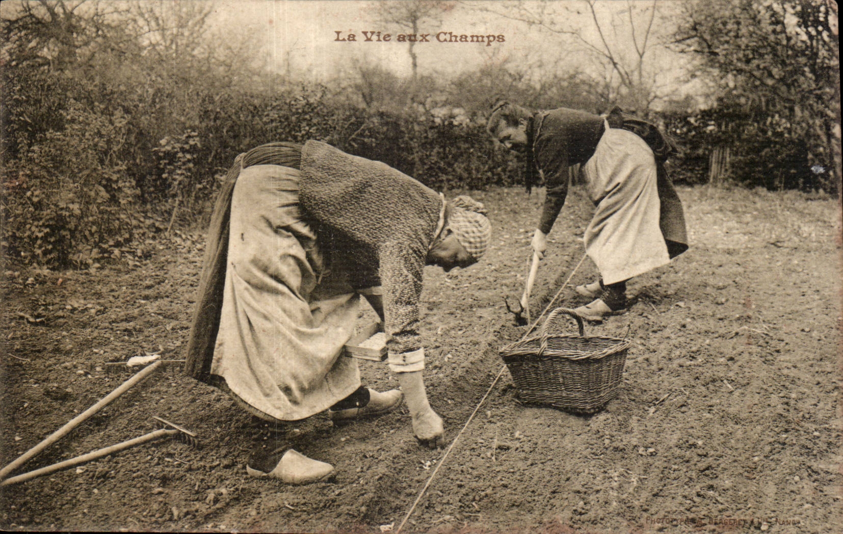 Peasant CPA country life in fields TOP