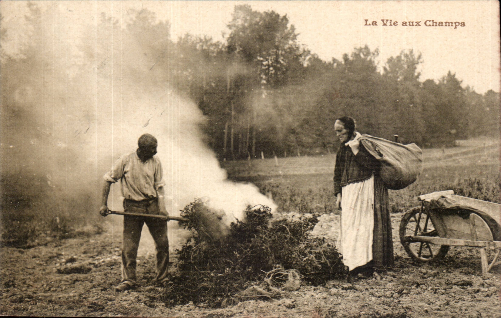 CPA country life peasant TOP