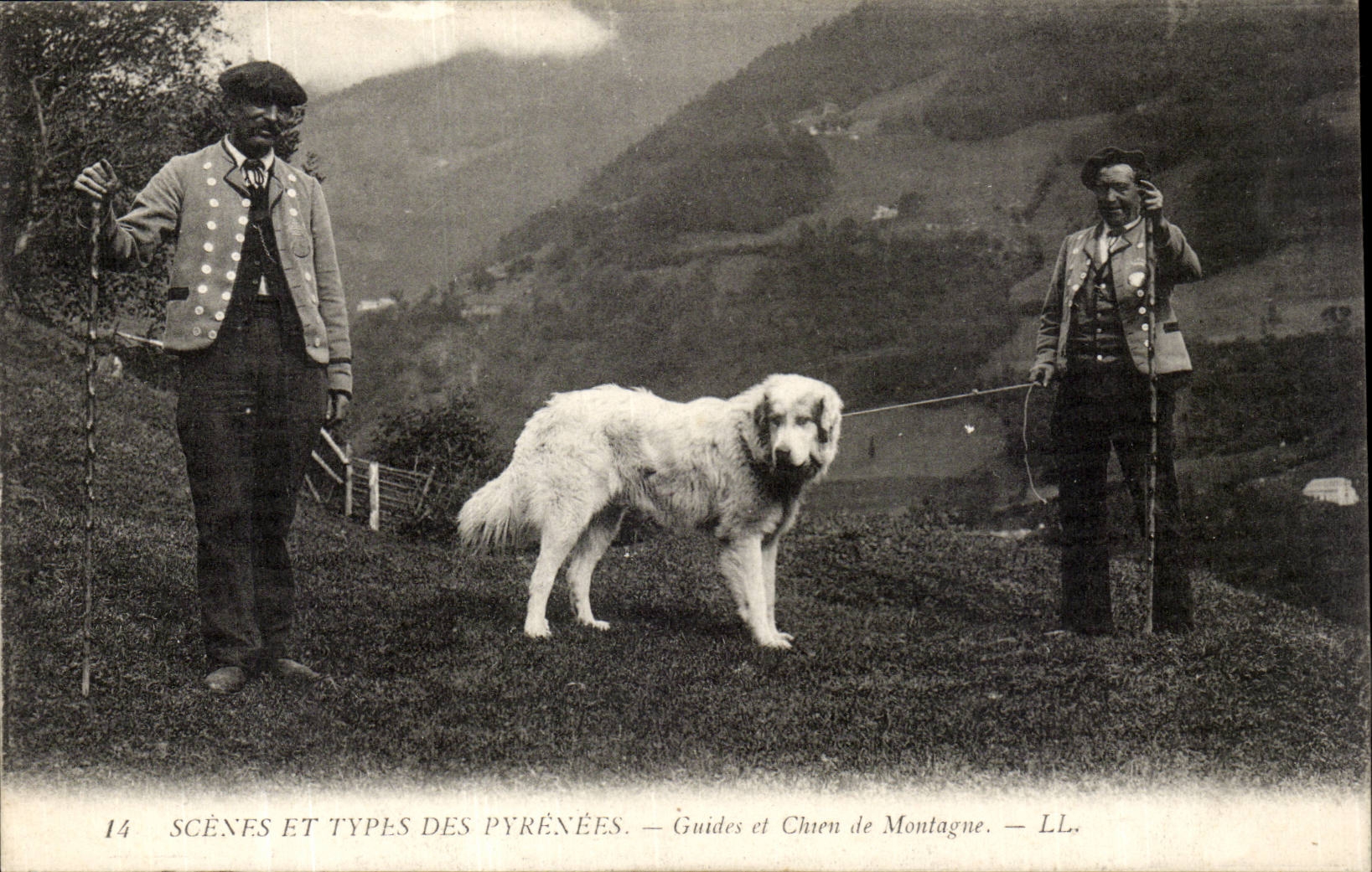 CPA Scenes and types of the Pyrenees (dog) Guides and dogs of mountain TOP