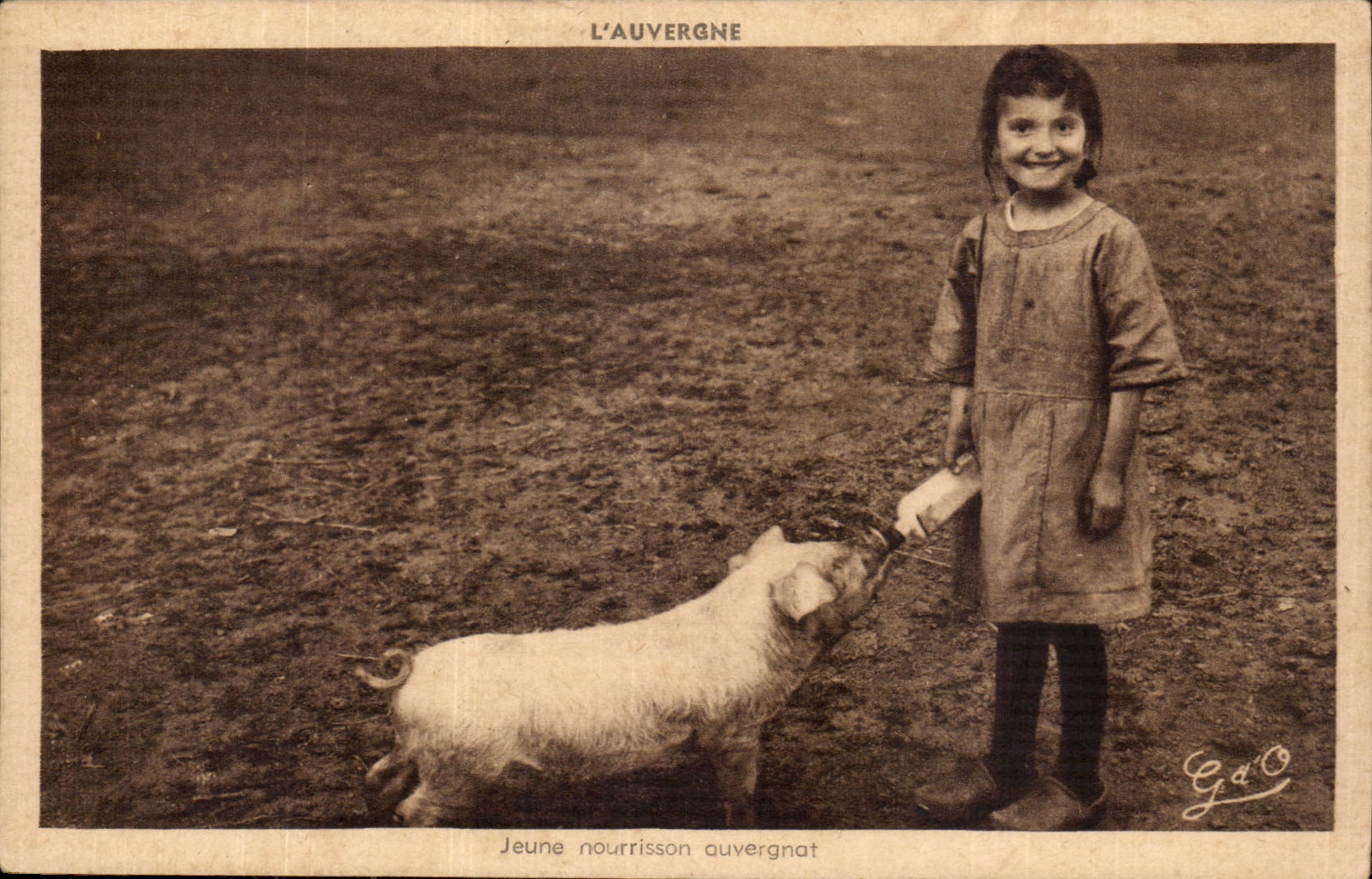 CPA Auvergne Young infant auvergnat (pig)