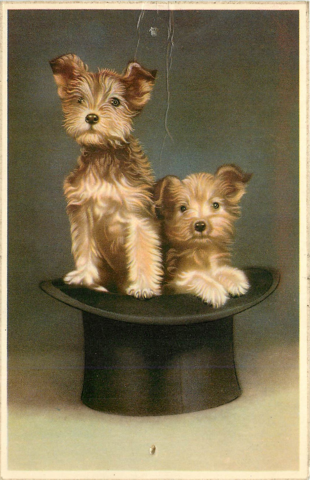 CPM Chiens Chien