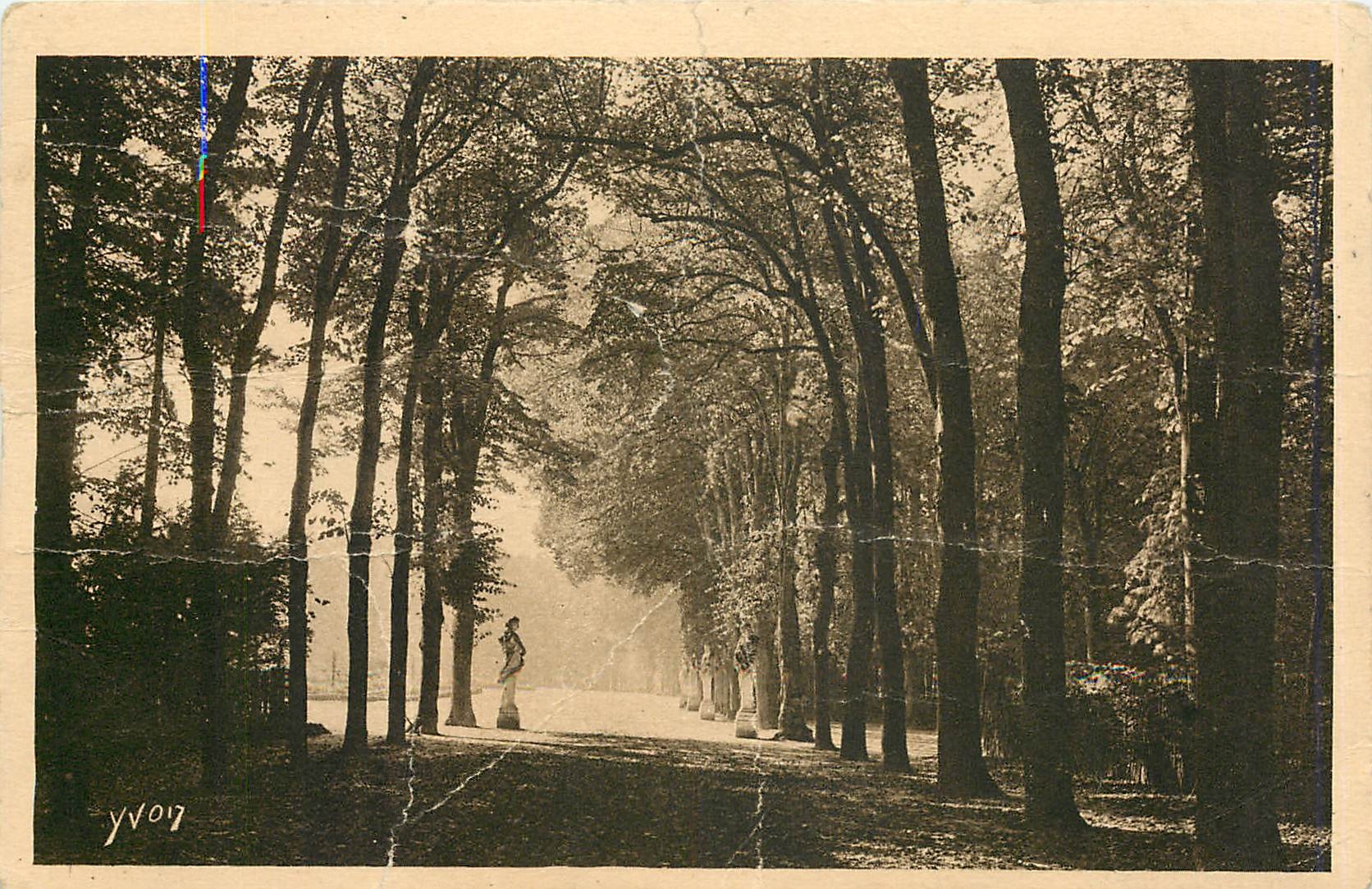 CPA Versailles Splendeurs et Charmes de Versailles Allee de l'Ete 