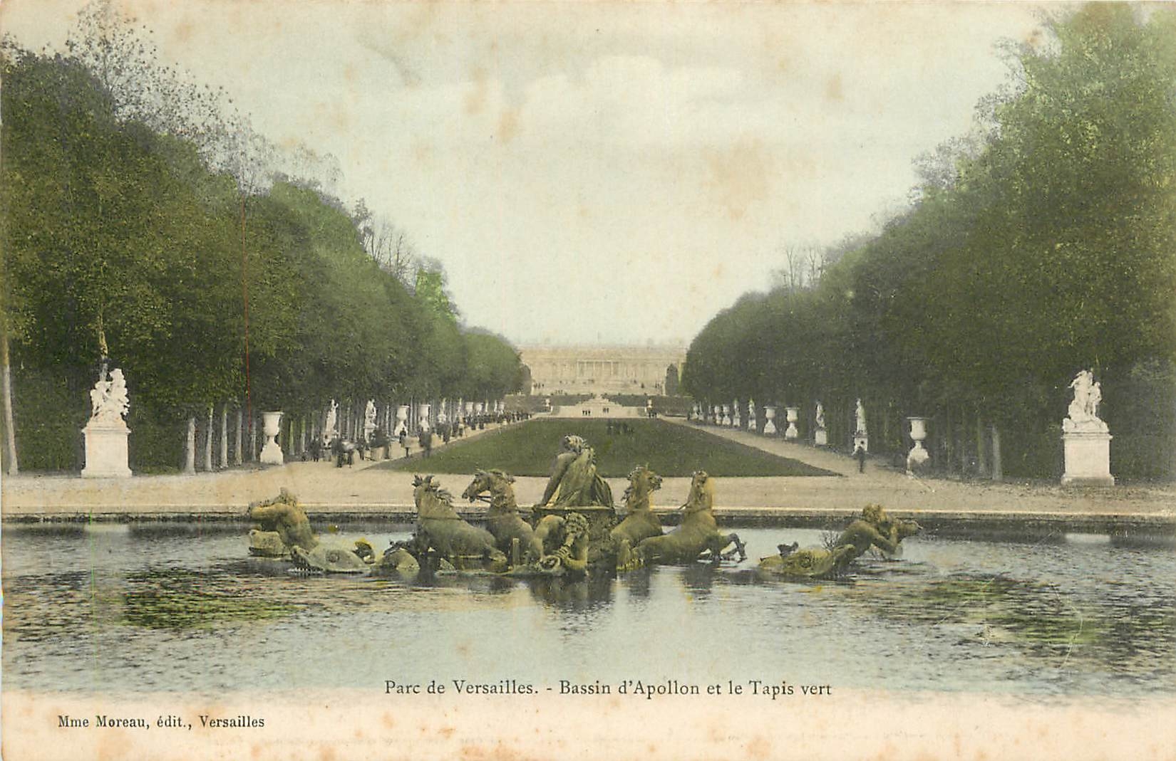 CPA Parc de Versailles Basson d'Apollon et le Tavis vert 