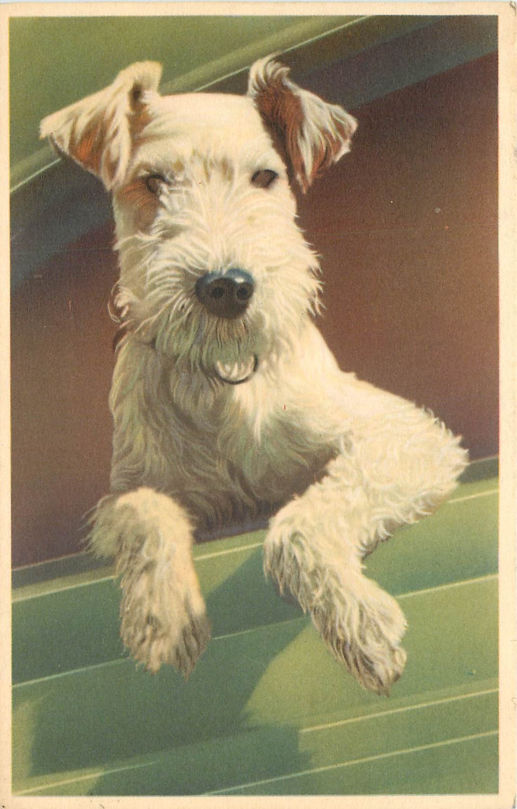 CPA Chien