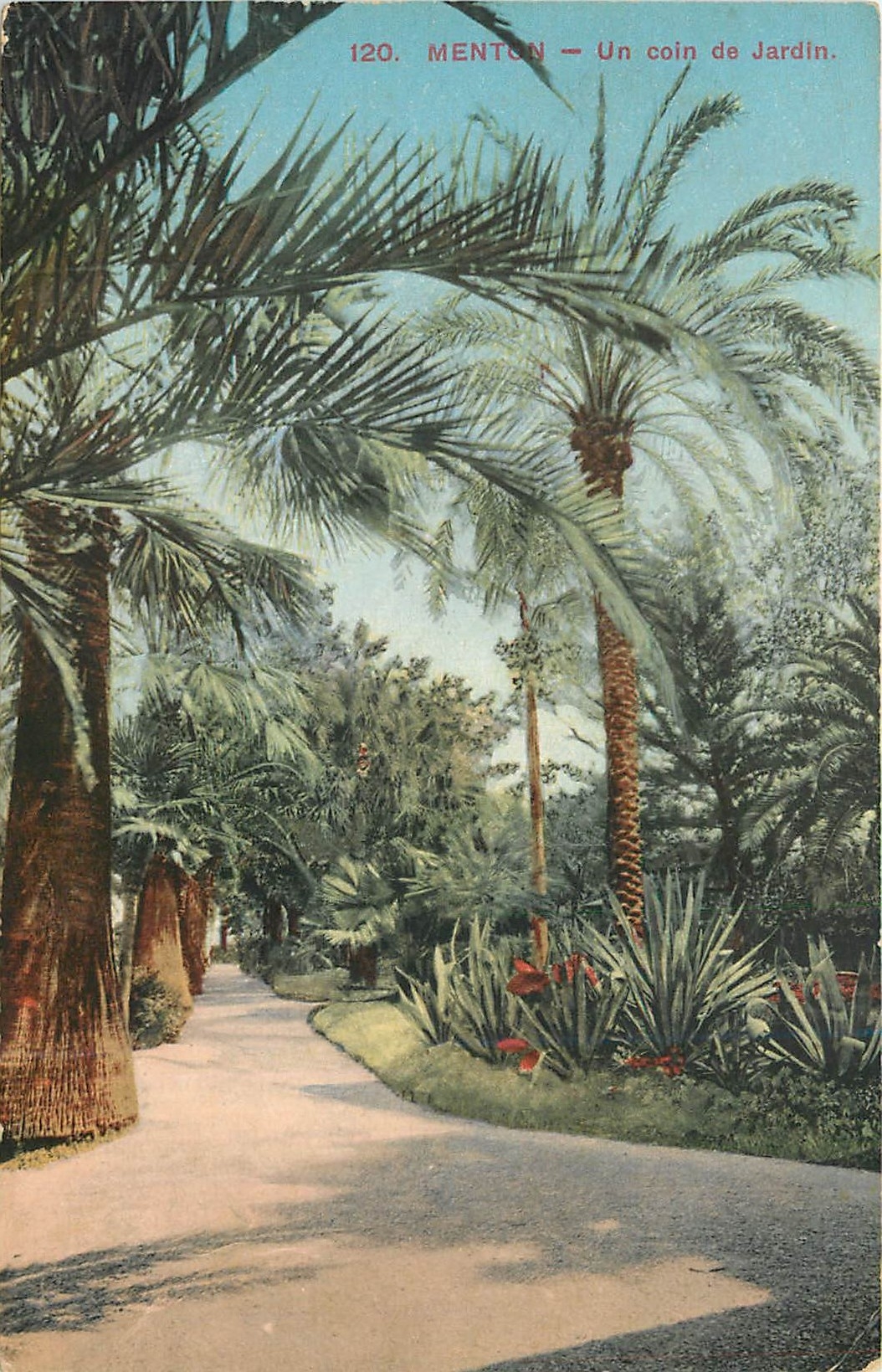 CPA Menton Un Coin de Jardin 