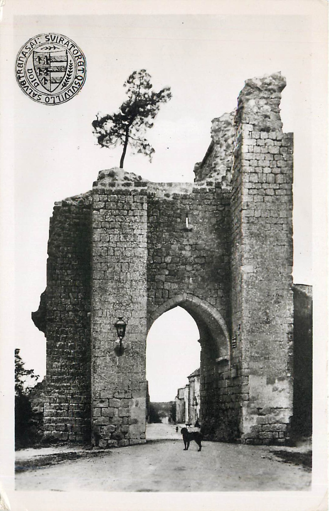 CPA Sauveterre de Guyenne Gironde Porte Saint Leger